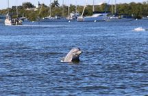 Sunset Dolphin Cruise with Sanibel Lighthouse Views