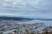 Zero Emission Bergen City Tour By Car