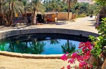  Siwa Oasis Tour All inclusive 3 Days Experience from Cairo&Giza