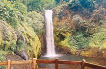 Poaz Volcano And Coffee Tour From JACO