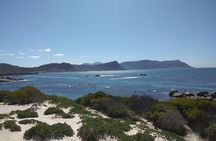 False Bay Walk & Penguin Kayak Experience - Best thing to do