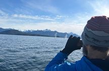 2-Hour Marine Wildlife Tour in Sitka