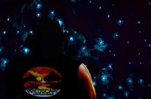 Blue Mountains Day, Sunset Tour & Glow Worms Night Adventure 
