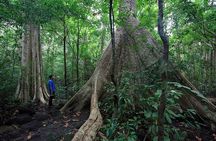 2 Days Tour in Cat Tien National Park