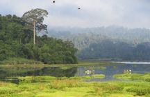 2 Days Tour in Cat Tien National Park