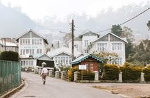 Private Nuwara Eliya Day Trip from Colombo – All Inclusive