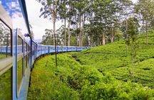 Private Nuwara Eliya Day Trip from Colombo – All Inclusive