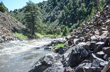 Colorado River Whitewater Rafting: Half Day Trip