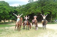 Discover Coral Coast Combo Tour
