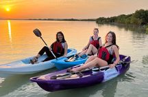Eco Kayaking Adventure – Mangrove Exploration at Purple Island