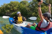 Eco Kayaking Adventure – Mangrove Exploration at Purple Island
