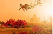 Private Agra Taj Mahal Tour by Car from Delhi
