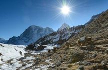 Luxury Everest Base Camp Trek