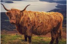 Inverary Castle, Historic Sights and Scenic Beauty from Oban
