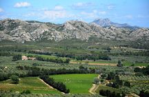 Wine, Olive Oil and Scenic Villages of Provence