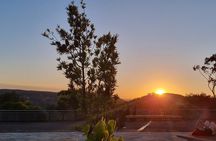 Blue Mountains Sunset Tour | See Kangaroos & Koalas (Private Tour)