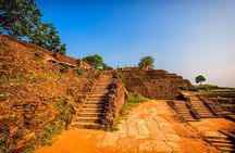 All-inclusive Sigiriya, Dambulla and Wildlife Safari from Colombo
