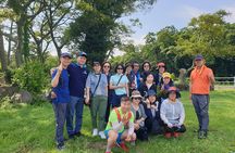 Private 2Days Tour a lot of Experience Driver in jeju island