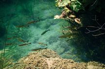 Private Full-Day Krka Waterfalls Tour with Wine Tasting 
