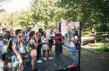 Private Full-Day Krka Waterfalls Tour with Wine Tasting 