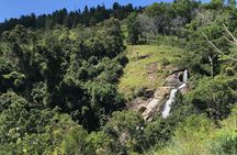 Waterfall Hunting- Bambarakanda & Lanka Falls + Natural Pool Bath