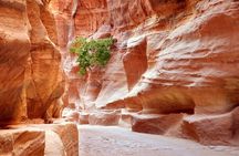 Petra Temple And Jordan full day Tour From Sharm El Sheikh 