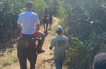Horseback Riding + Bamboo River Rafting Experience from Ocho Rios