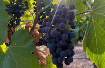 Half Day Winery Tour