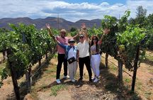 All-Inclusive Wine Tasting Tour + Lunch in Temecula Wine Country