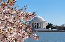 Private Washington DC Tour with Changing of the Guard Ceremony