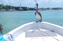 Snorkeling at Hol Chan Marine Reserve and Shark Ray Alley