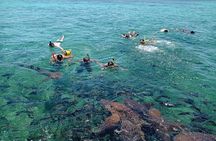 Snorkeling at Hol Chan Marine Reserve and Shark Ray Alley