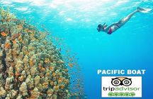 PREMIUM snorkel & islands hopping by SPEEDBOAT-Seafood BBQ(MAX12)