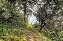 The backpackers trail to Elephant Spine – Knuckles