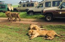 4 Days Serengeti, Ngorongoro and Tarangire Safari
