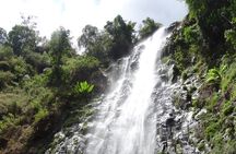 Arusha: Materuni Waterfall and Coffee Tour with Packed Lunch