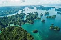 Ha Long Bay Cruise Day Tour - Cave, Kayaking, Swimming & Lunch