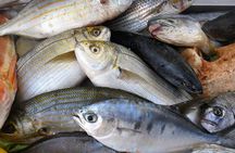 Full Day Fishing Experience in Capri from Sorrento 
