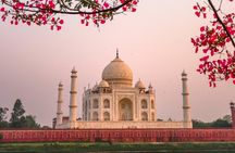 3 Days and 2 Nights Taj Mahal from Cruise to Shore Excursions