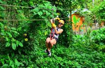 Full Pack Buggies + Horses + Zip Line + Food in Punta Cana