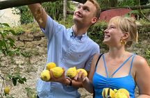 Sorrento: Authentic Lemon Experience at a Farm with Tastings