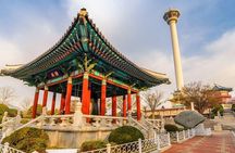 Private Custom Tour with a Local Guide Busan