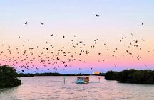 Sunset Cruise on the Beautiful Banana River