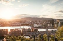 Oslo : Private Walking Tour With A Guide ( Private Tour )