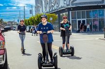 Wynwood Segway Tours Miami: 4-Mile Art & Murals Tour