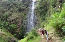 Arusha: Materuni Waterfall and Coffee Tour with Packed Lunch