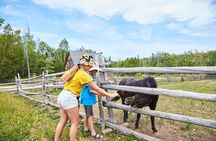 Family visit to the Acadian Historic Village