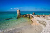 Private 4-Hour Beach Tour St. Petersburg, FL