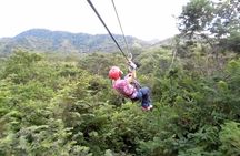 7 Nights Costa Rica Rainforest and Coastal Experience
