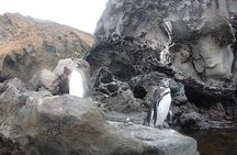 8 Days and 7 Nights Private Tour in Galapagos Islands